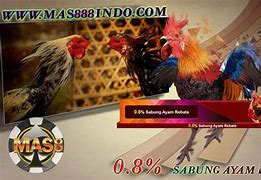 Nama Slot Sabung Ayam